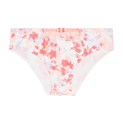 Culotte Dragée SYDNEY JAVA